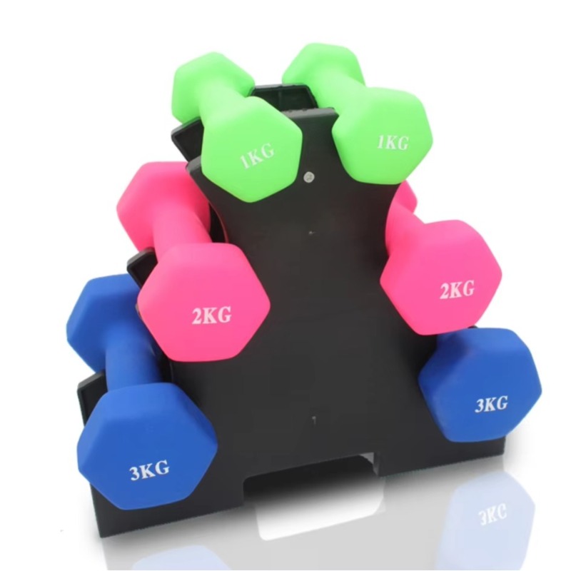 Home Gym Dumbbells - Suporte de Armazenamento de Halteres de