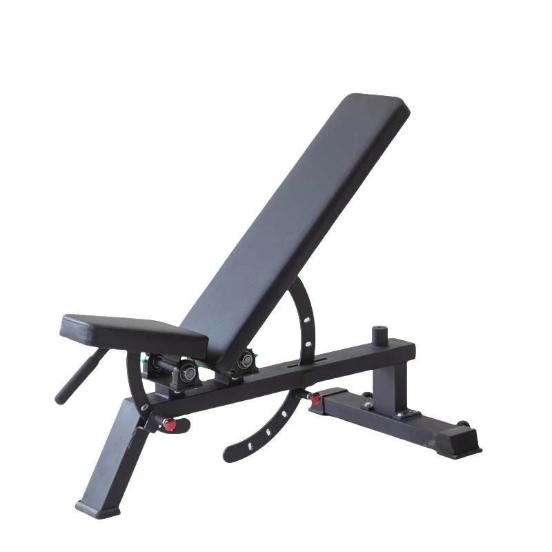 Home Gym Dumbbells - Equipamento de Academia em Casa: Banco