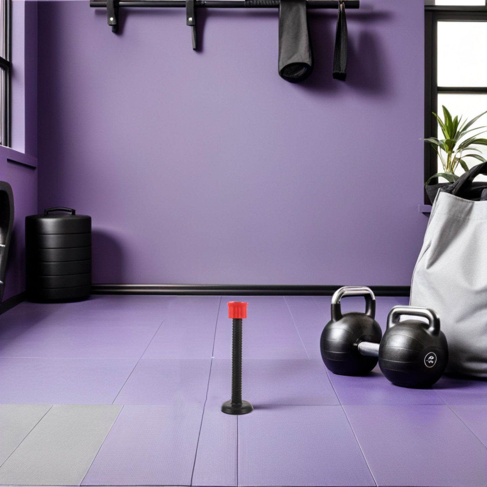 Barras de Suporte Plásticas pa - Home Gym Dumbbells avaliação e preço